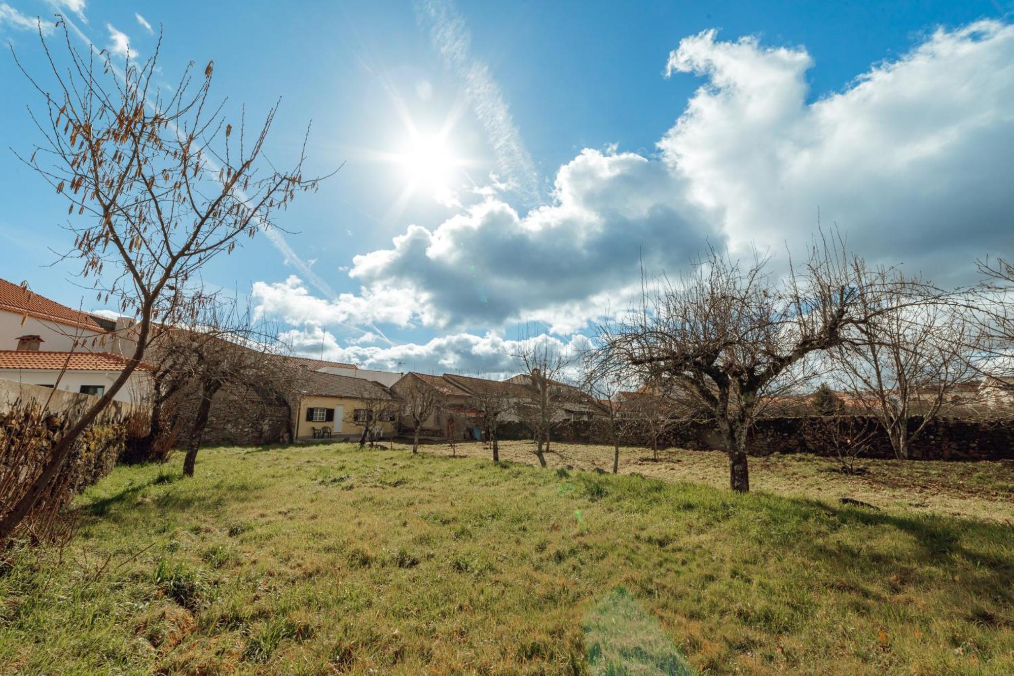 הוילה וילה נובה דה פאייבה Casa Do Malhadinhas By Vacationy מראה חיצוני תמונה